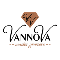 VannoVa logo